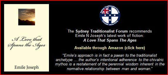 emile joseph book advert banner