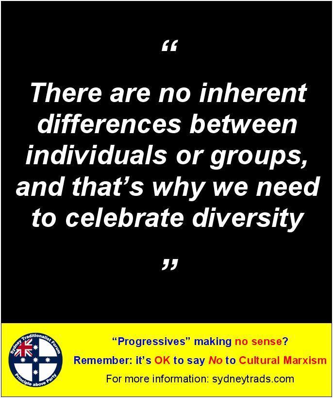 STF Poster - There are no inherent differences between individuals or groups and that’s why we need to celebrate diversity