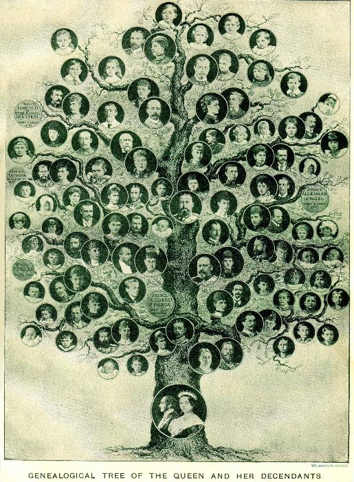 family tree of queen victoria 1901