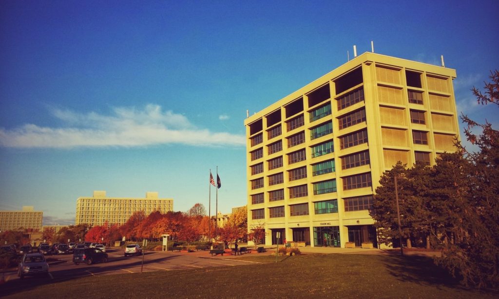 Aesthetic Knowledge Sydney Trads